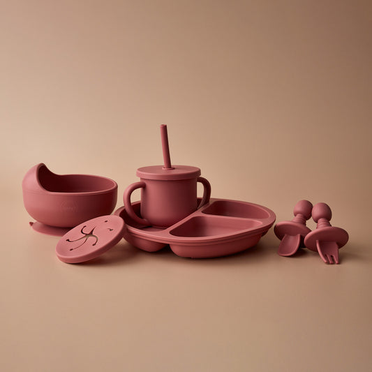 The Essential Feeding Set - Blush